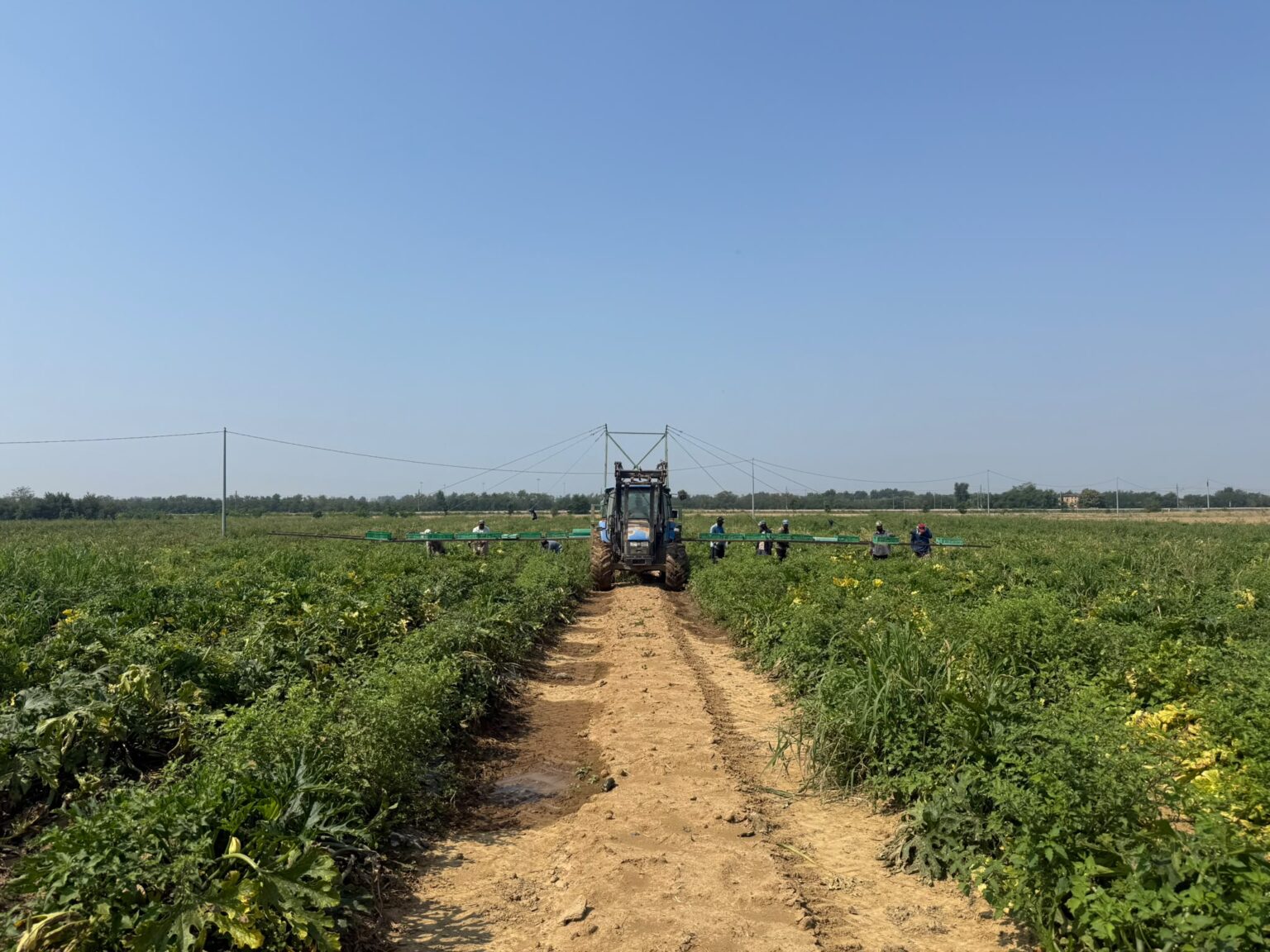 campagna_4