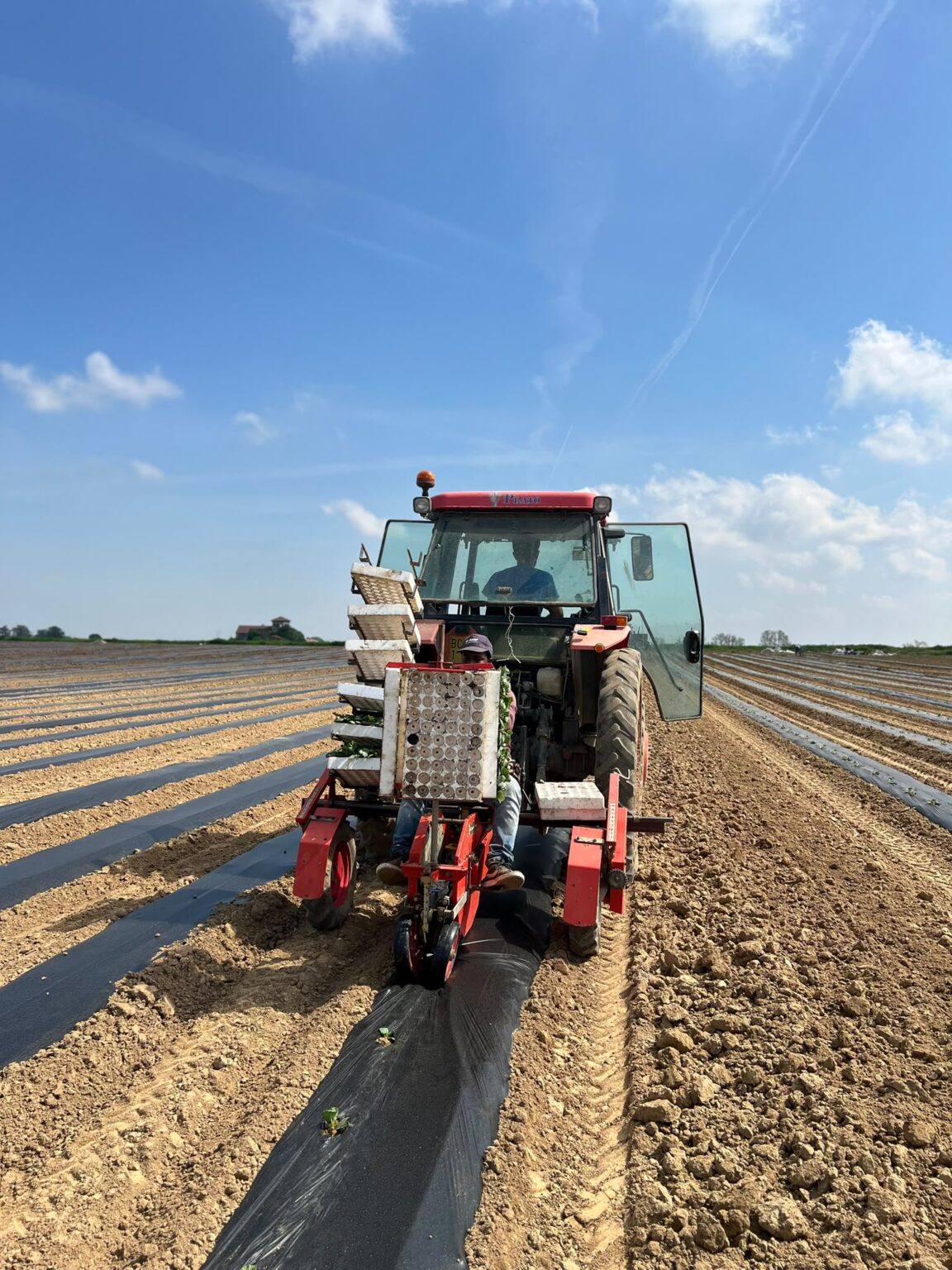 campagna_9
